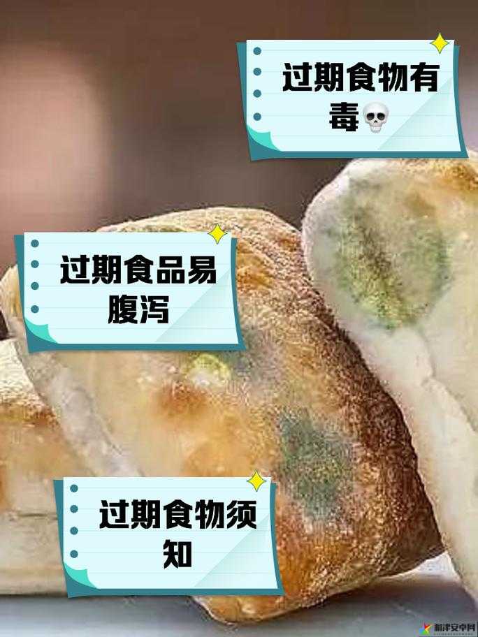 小东西好几天没弄了还能吃吗：关于食物保存的重要思考